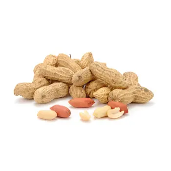 Organic Groundnut seeds